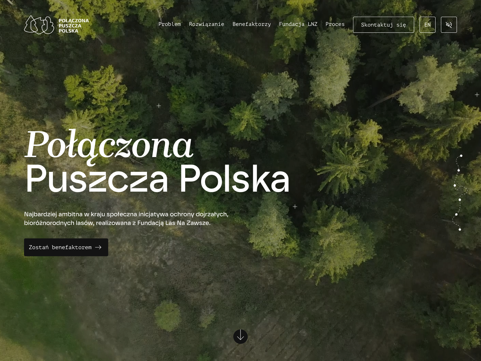 PoĹÄ
czona Puszcza Polska thumbnail