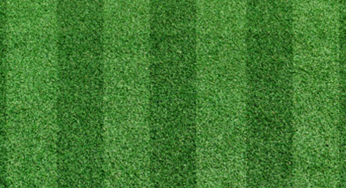 Grass