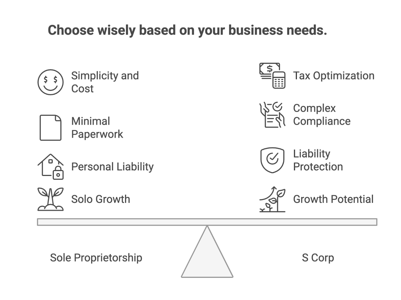 S Corp vs Sole Proprietorship on business needs