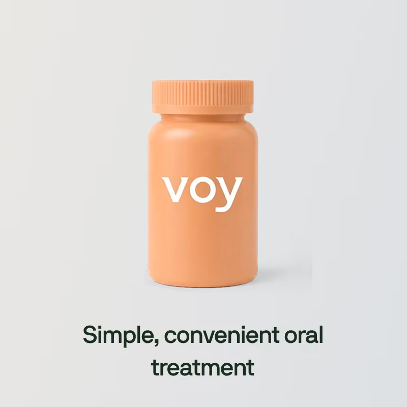 Voy