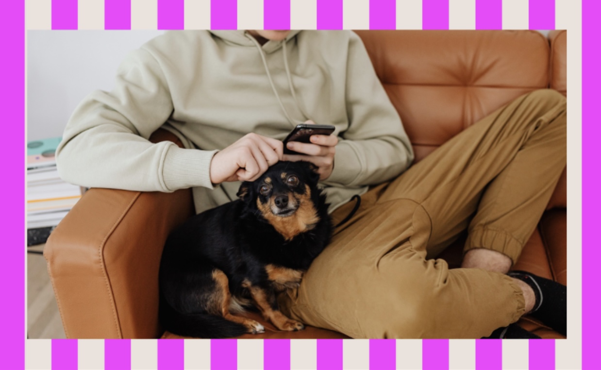 Pet parent check in: How’s your self care?
