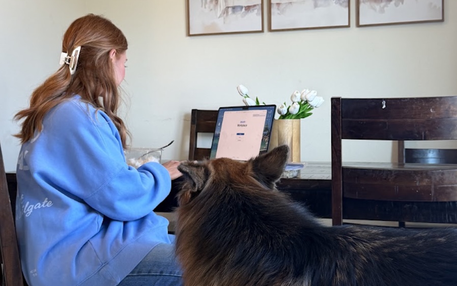 PSA to Crazy Dog Moms: Ollie Offers Health Check-Ins — It's What Really Sets the Brand Apart