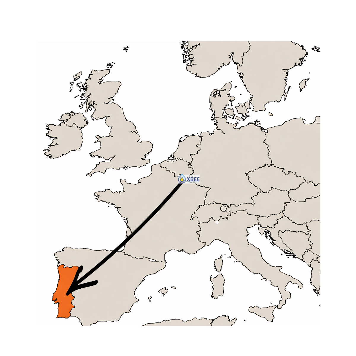 team planning VAT compliance strategy