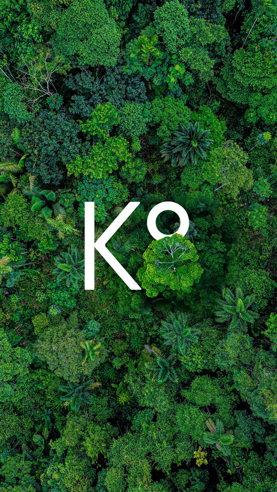K8 logo on a birdview green forest with a round tree covering half of the 8