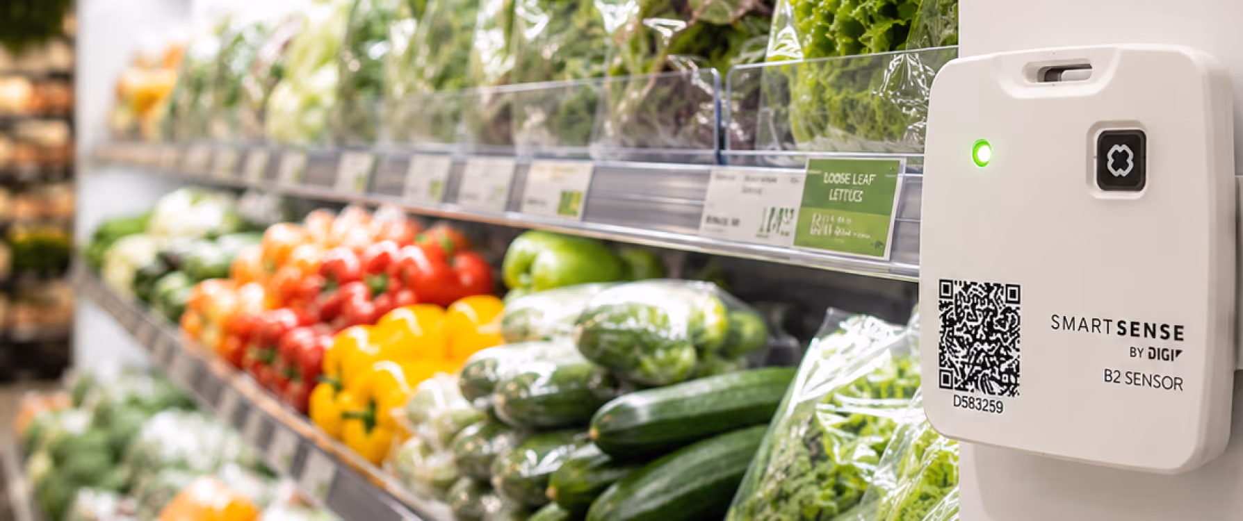 SmartSense IoT sensor installed in a supermarket produce area for remote monitoring and sensor installation automation.