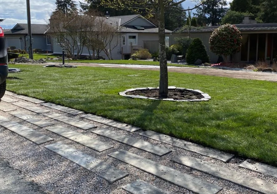 restored lawn