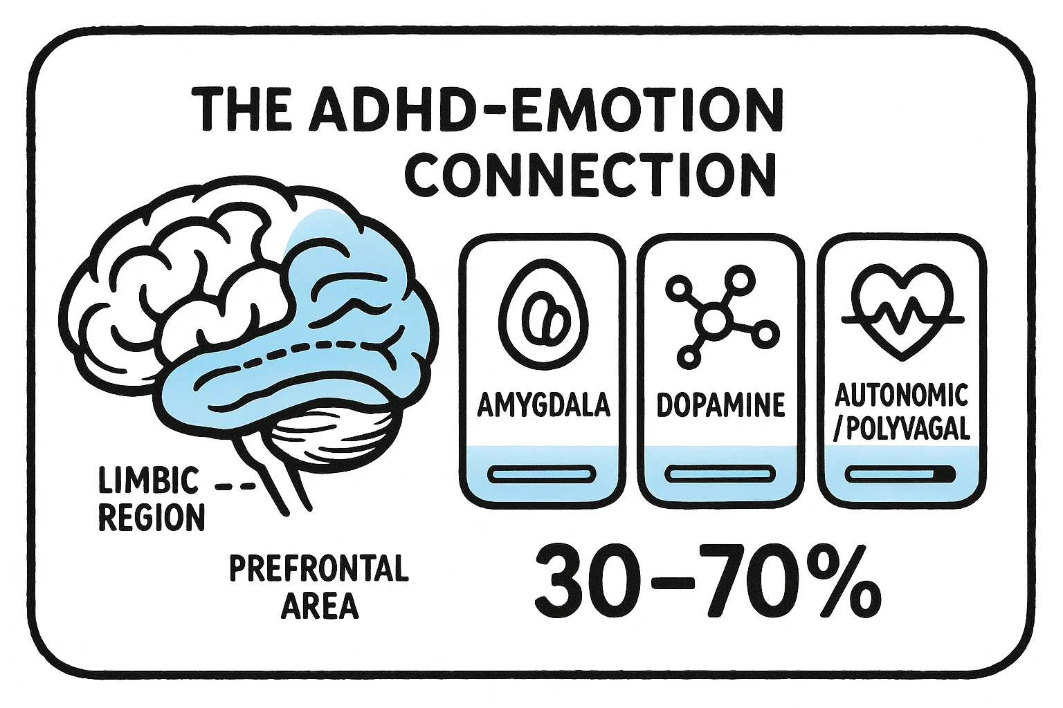 Overview visual linking amygdala, dopamine, and autonomic pathways to emotional dysregulation in ADHD, with a clear prevalence callout for quick context.