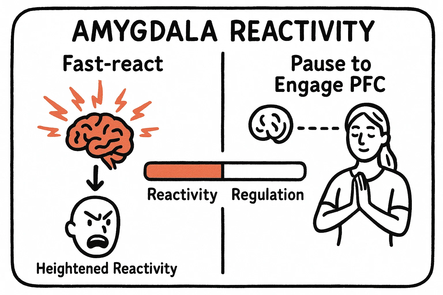 Side-by-side comparison of reactive vs regulated pathways, showing how stronger amygdala responses and weaker PFC links explain rapid emotional outbursts in ADHD.
