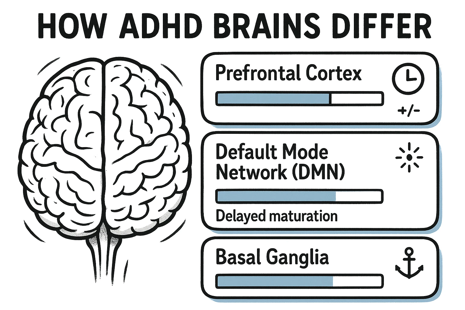 ADHD Brain Differences Figure