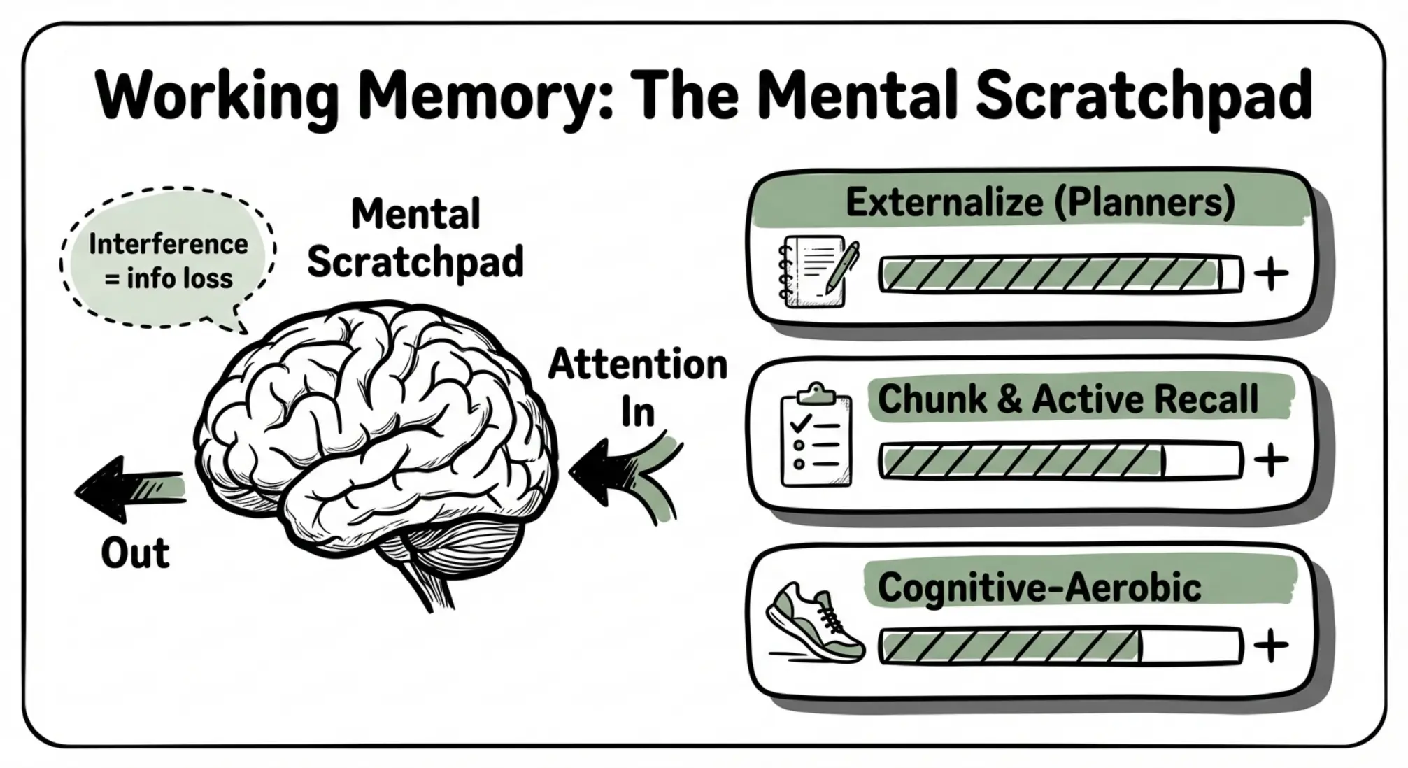 See working memory as a 'mental scratchpad' and evaluate targeted strategies—externalization, chunking, and cognitive-aerobic activity—so readers can choose next steps.