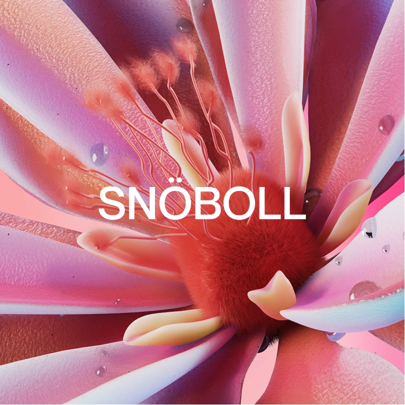 Snöboll case thumbnail