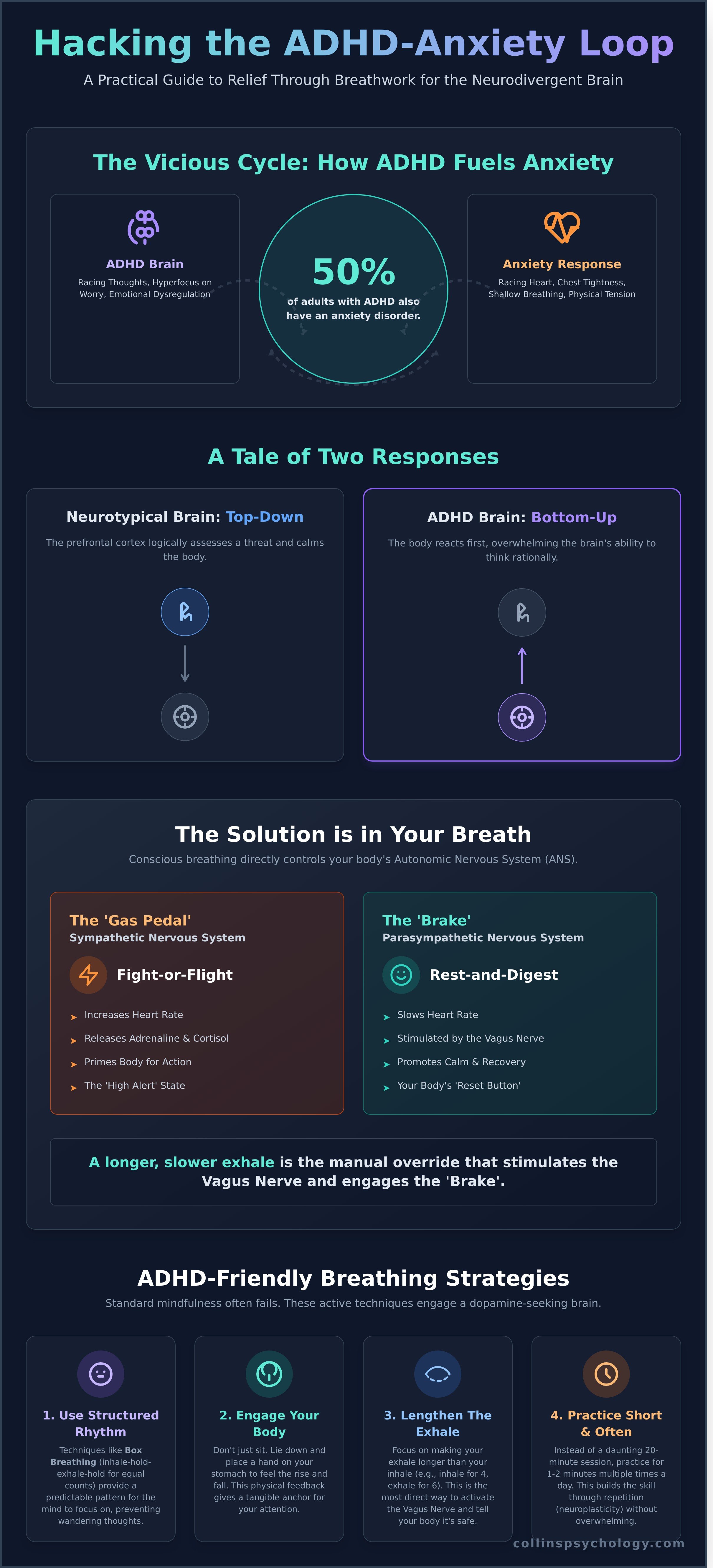 Anxiety in Adults with ADHD And How To Relieve Symptoms Through Breath infographic - visual guide