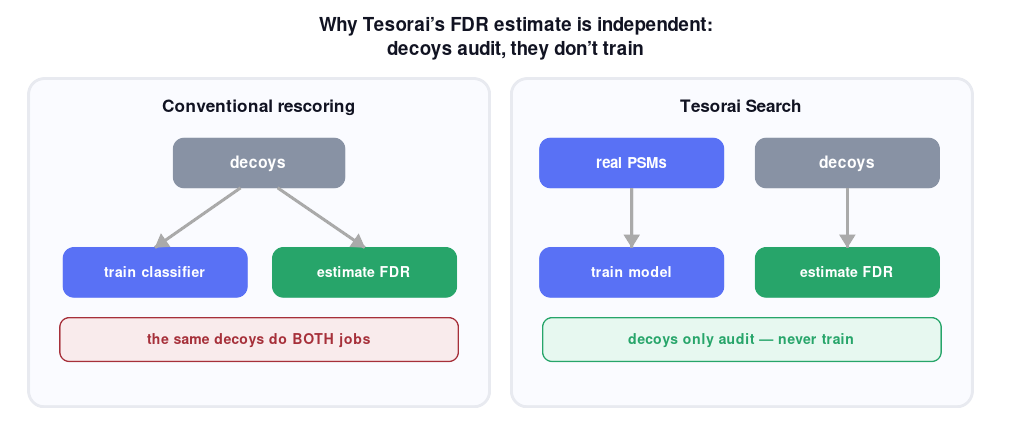 Conventional rescoring uses decoys for both training and FDR estimation; Tesorai reserves decoys for FDR estimation only