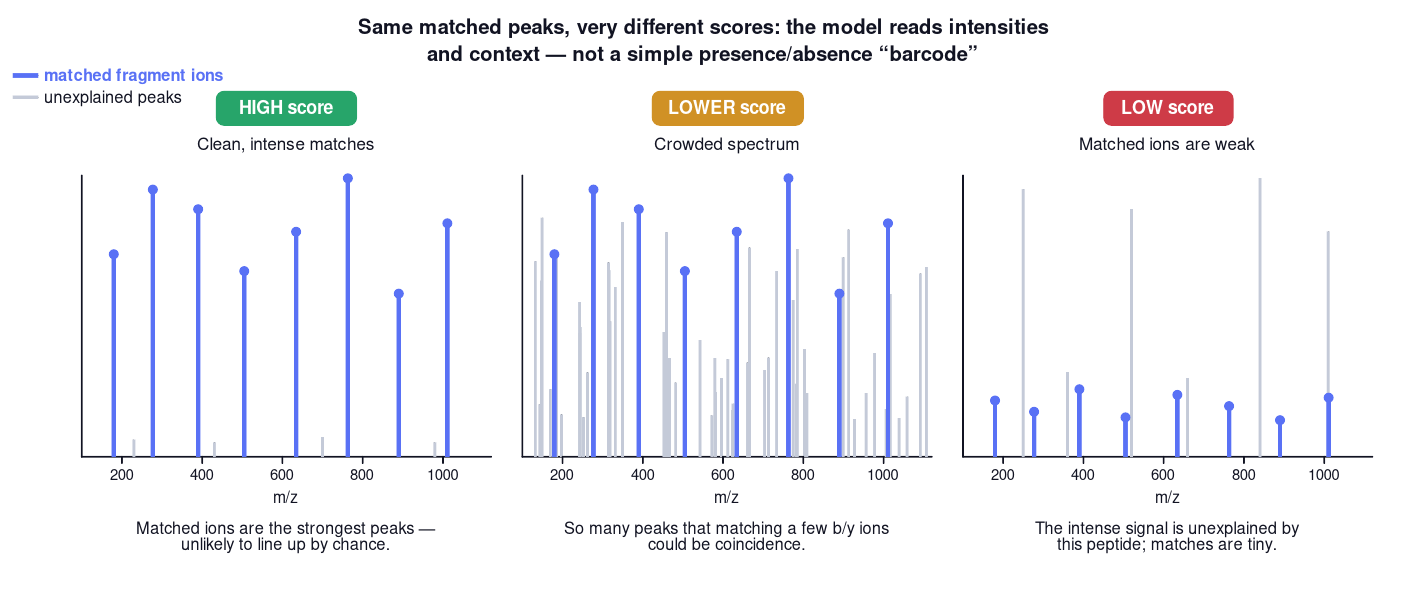 Same matched fragment ions can score very differently depending on intensity and spectral context