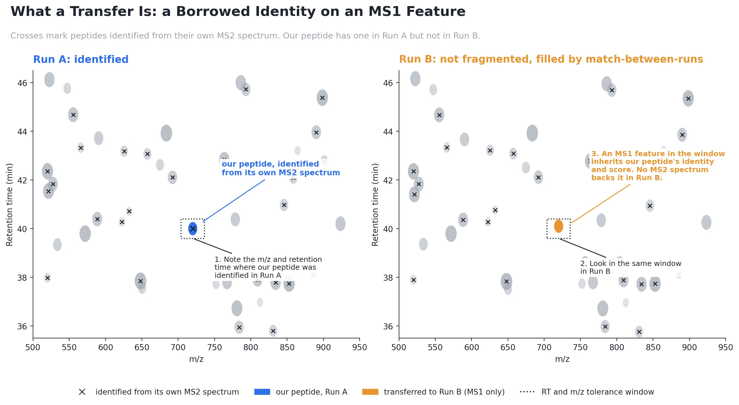 Two LC-MS runs side by side. In Run A the peptide is identified from its own MS2 fragment spectrum. In Run B no MS2 identification was made; an MS1 feature at the same mass and retention time is given Run A's identity.