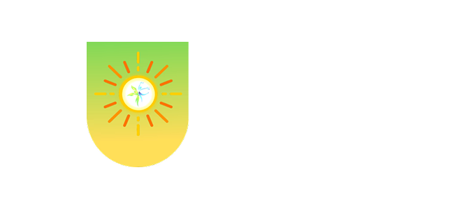 SWF