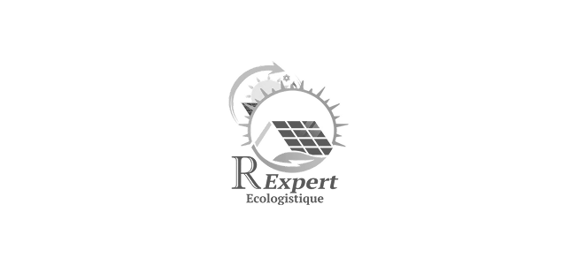 R Expert