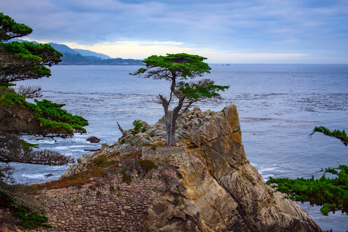 Car Accident Lawyer in Monterey Park 