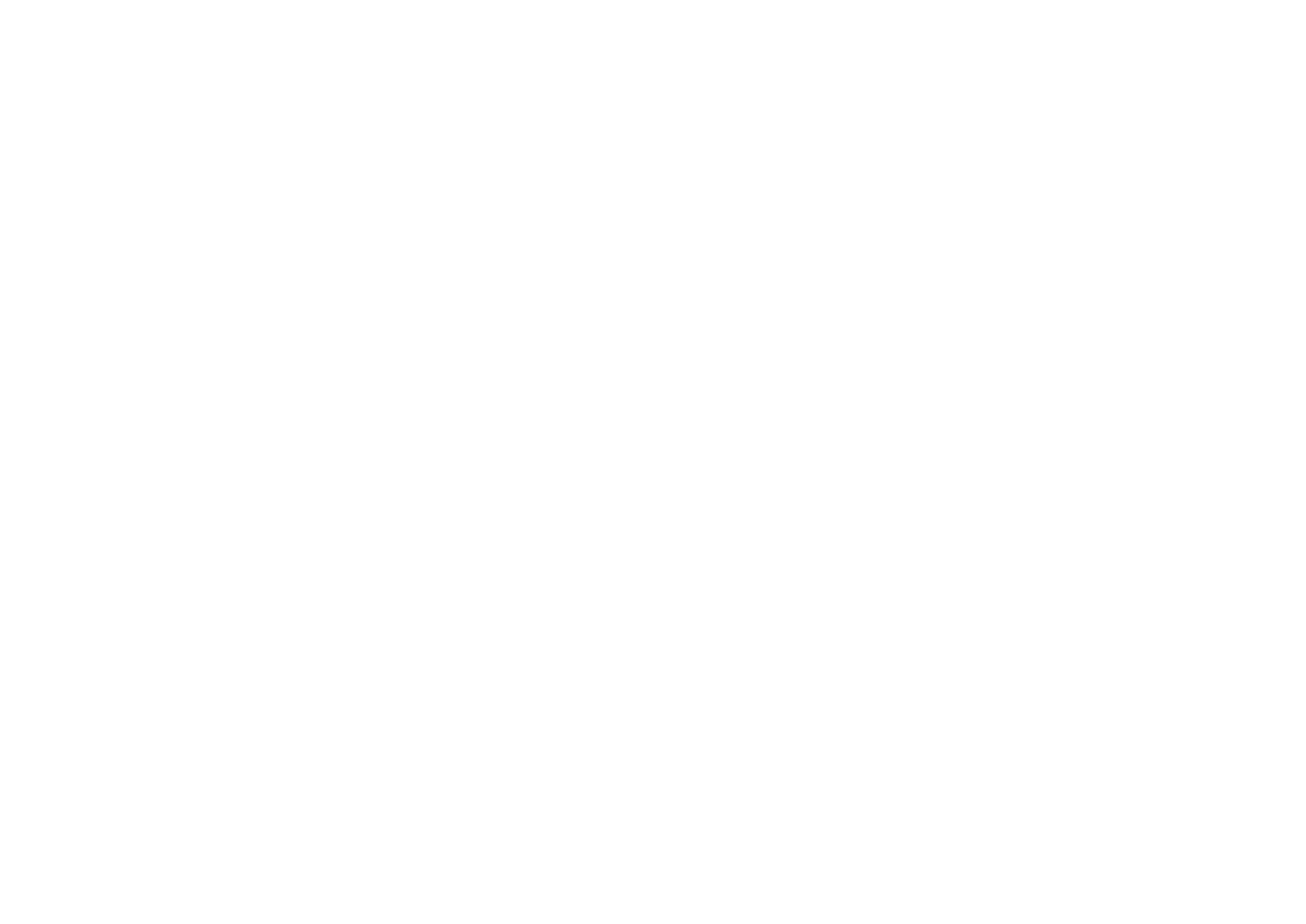 Budgy Smuggler logo
