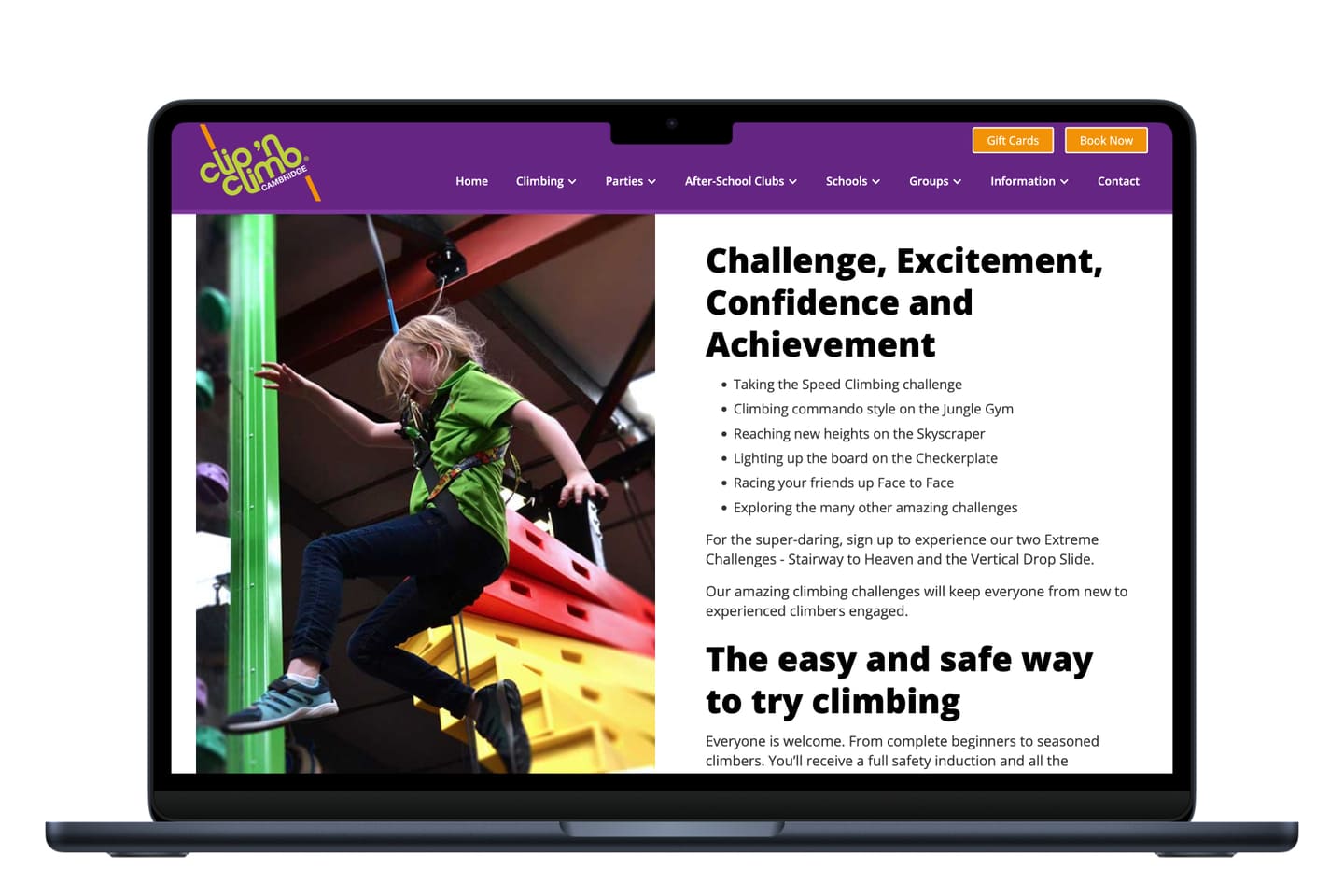 [digital project] image of a complete branding project (for a web design agency)