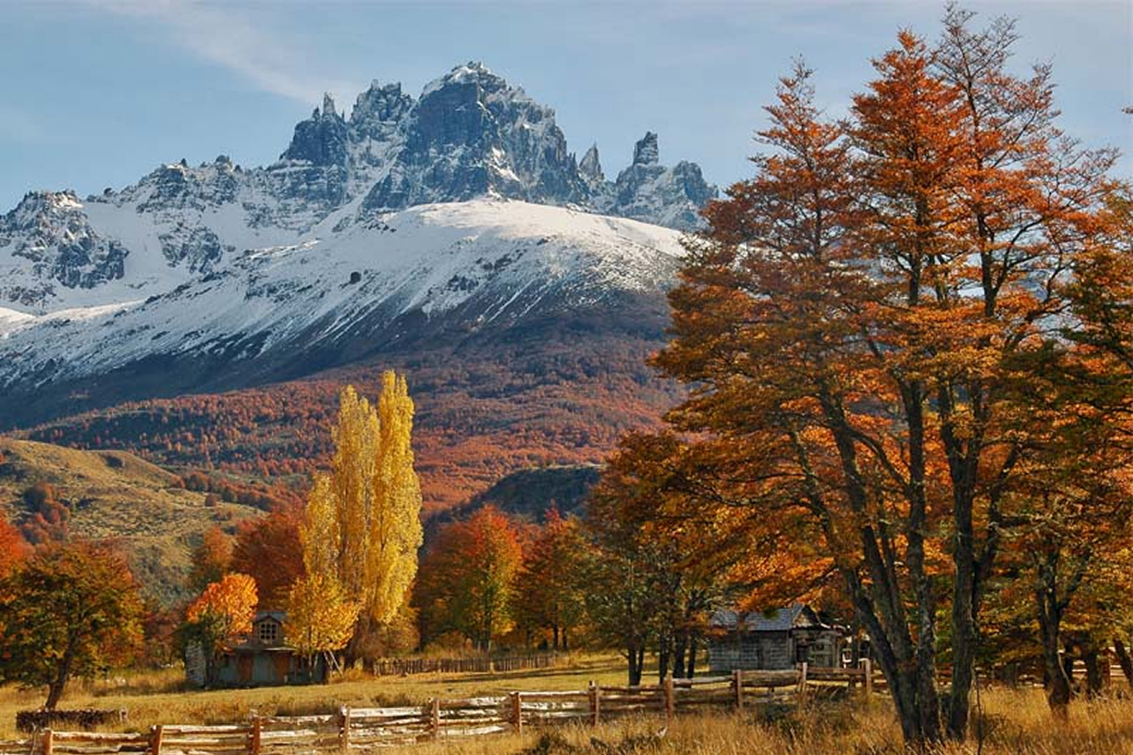 Autumn lenga forest and snow-capped Cerro Castillo massif along the Carretera Austral.