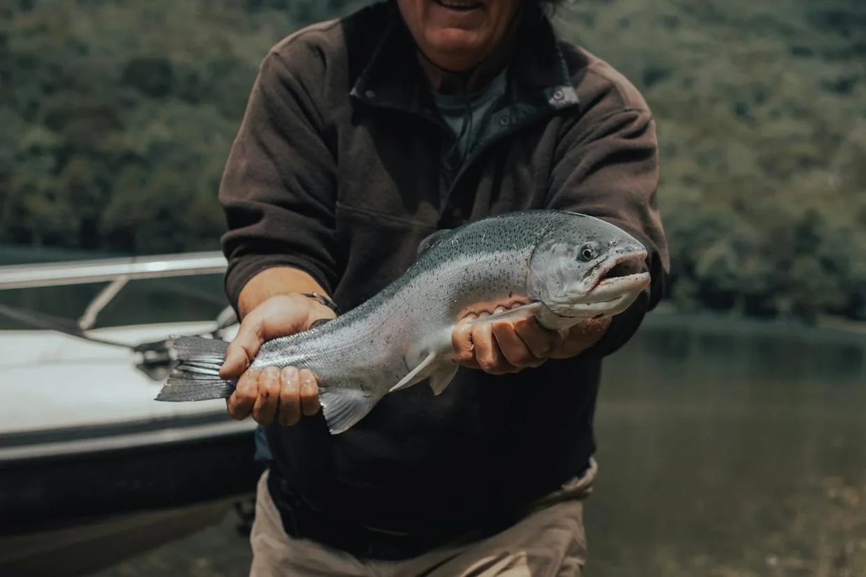 Massive Rainbow Trout - Top Rated Fly Fishing Expedition Carretera Austral