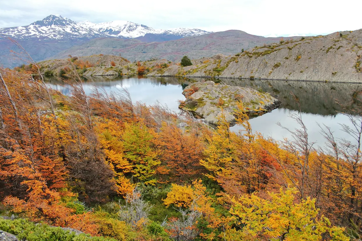 Exclusive Autumn Hiking Tour in Patagonia - Cerro Castillo National Park Itinerary
