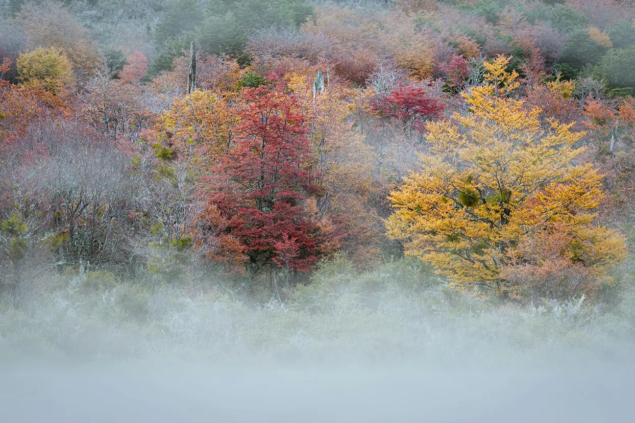 Patagonia Photography Tour - Best Autumn Fall Foliage Itinerary in Cerro Castillo