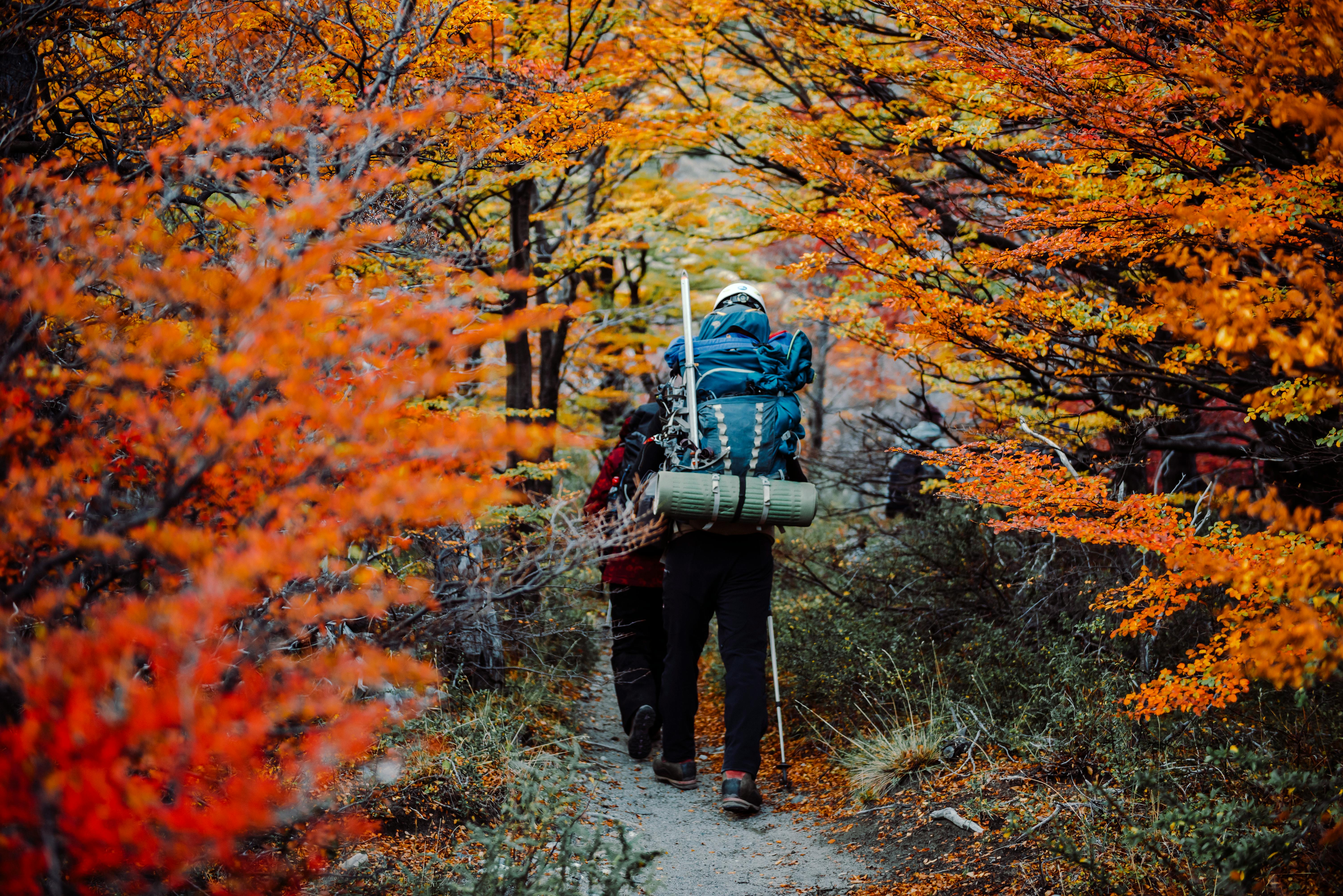 Top Rated Patagonia Fall Tour - Incredible Autumn Colors at Cerro Castillo National Park.