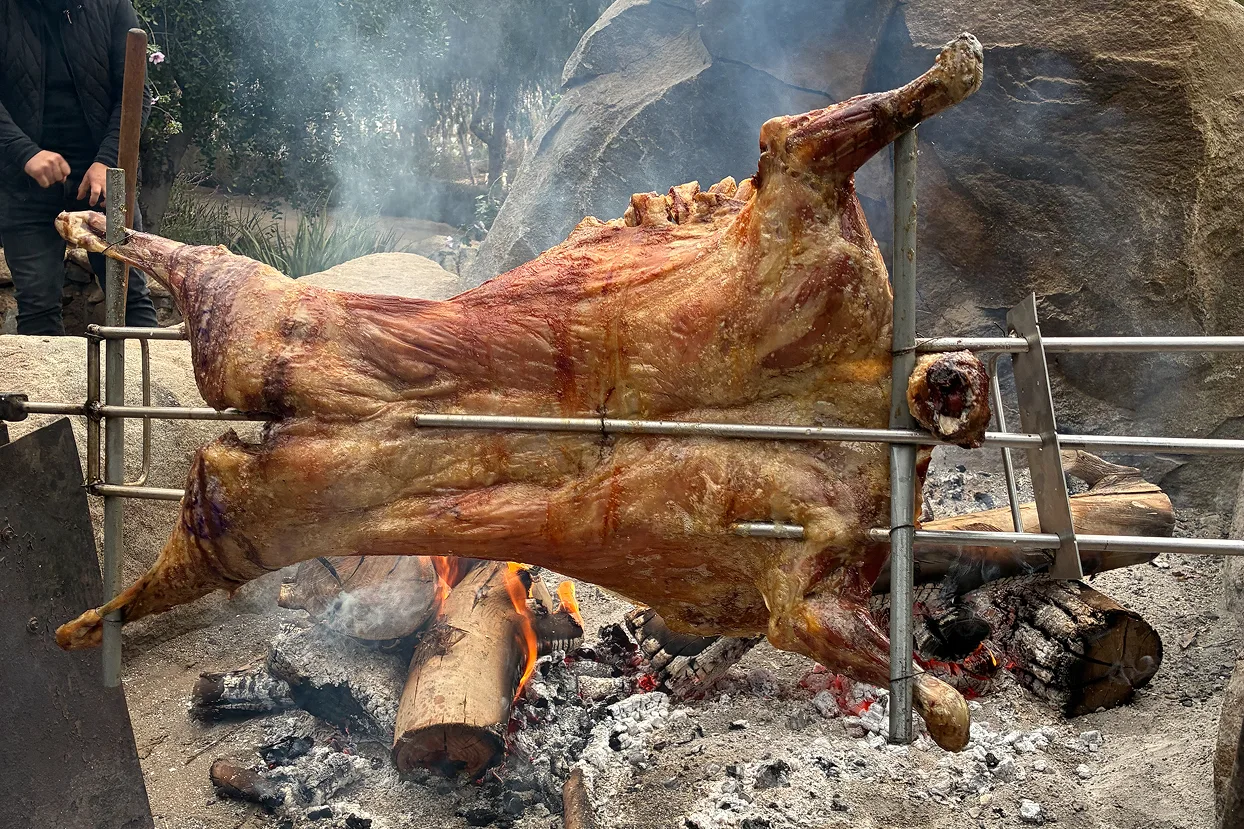 Gourmet Food & Wine Pairing - Private Gastronomy Tour on a Chile Winery Itinerary