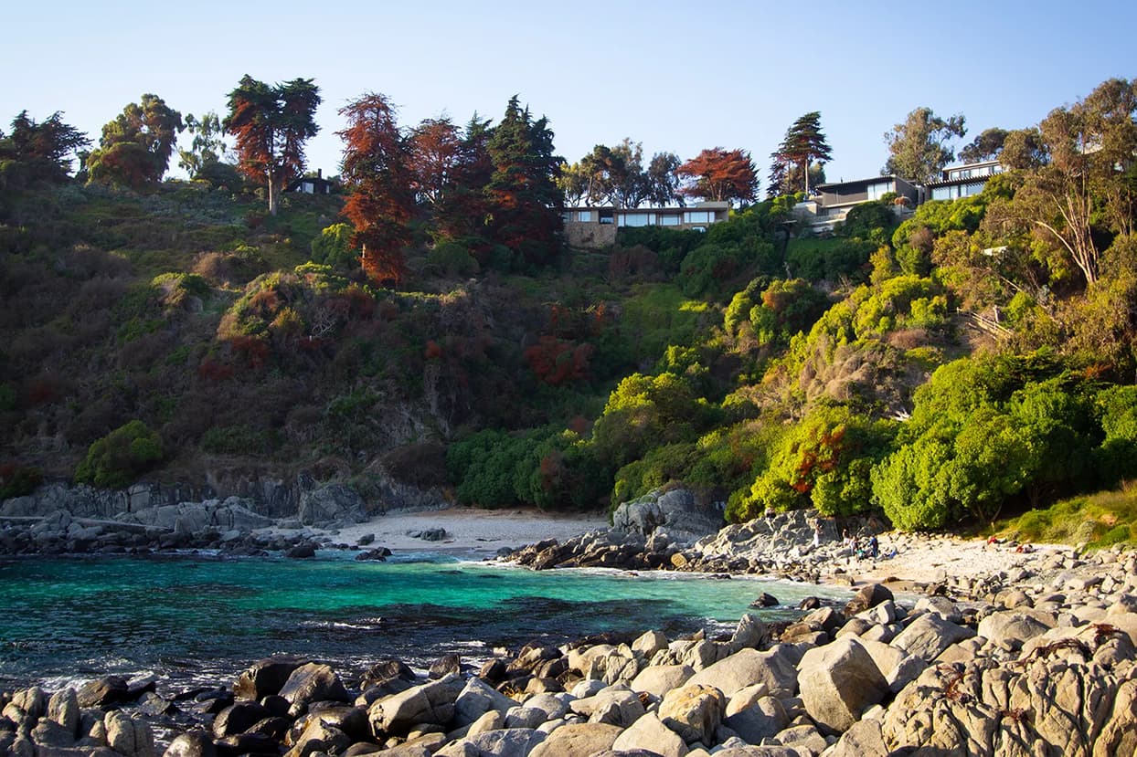 Las Cujas beach near Zapallar