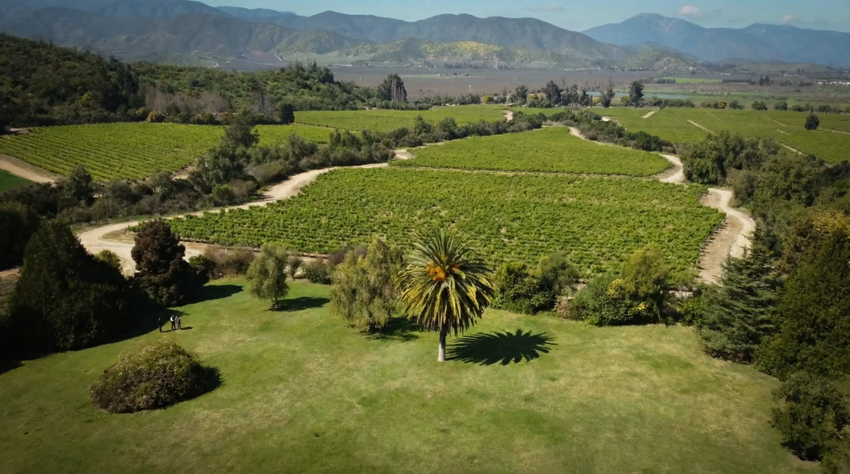 Panoramic Casablanca Valley Estate - Luxury Chile Wine Tour Itinerary Overview