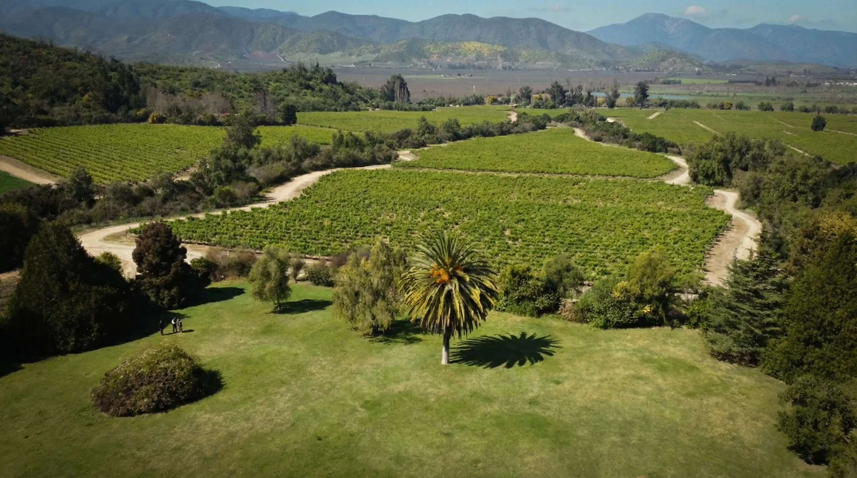 Curated private experience at The Vineyard House, wine country retreat in Casablanca Valley Chile