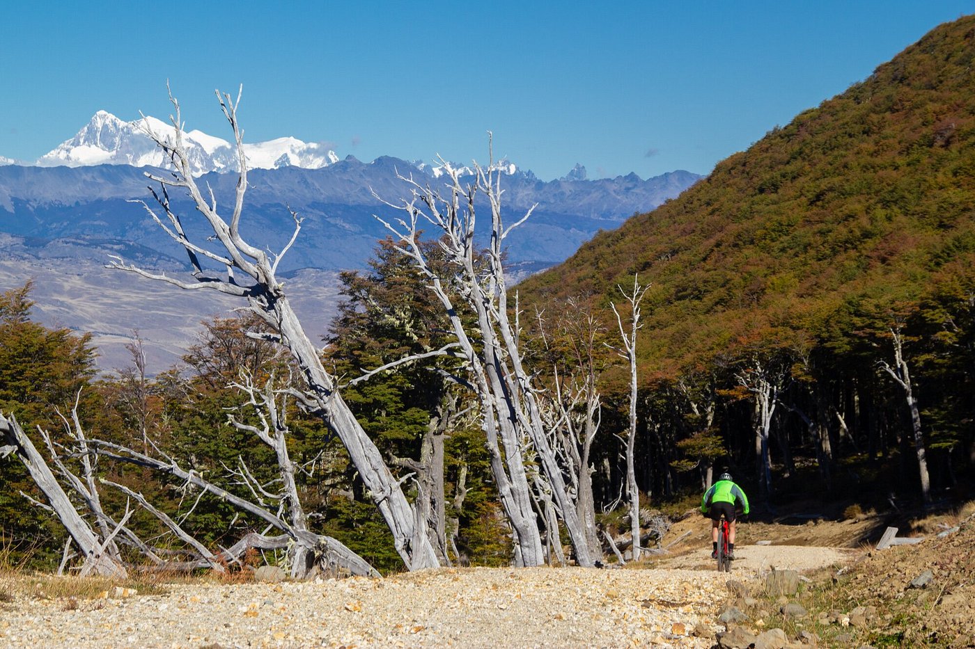 E-bike exploration through lenga forest with snow peaks, Patagonia National Park