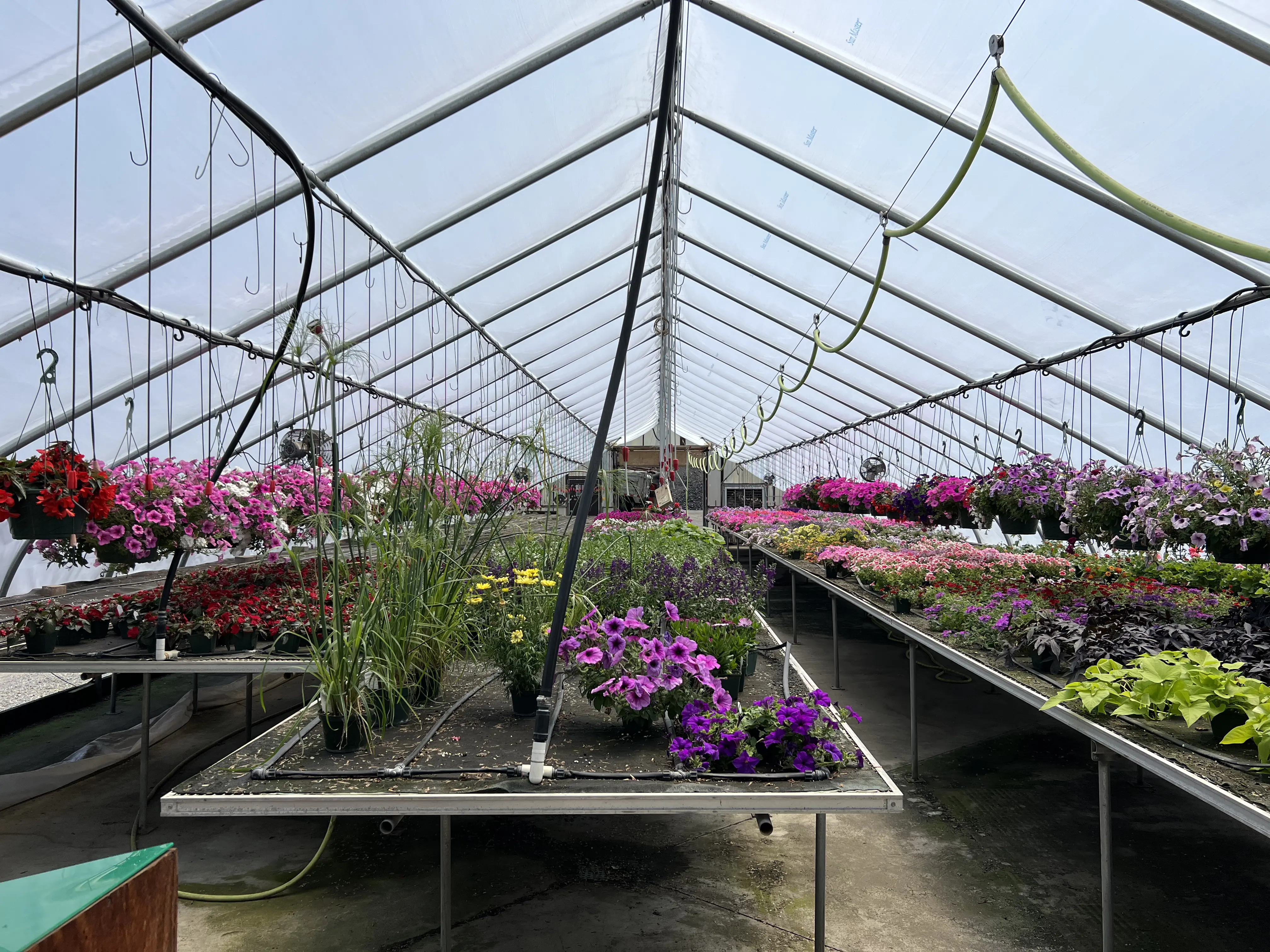 image of workers gardening