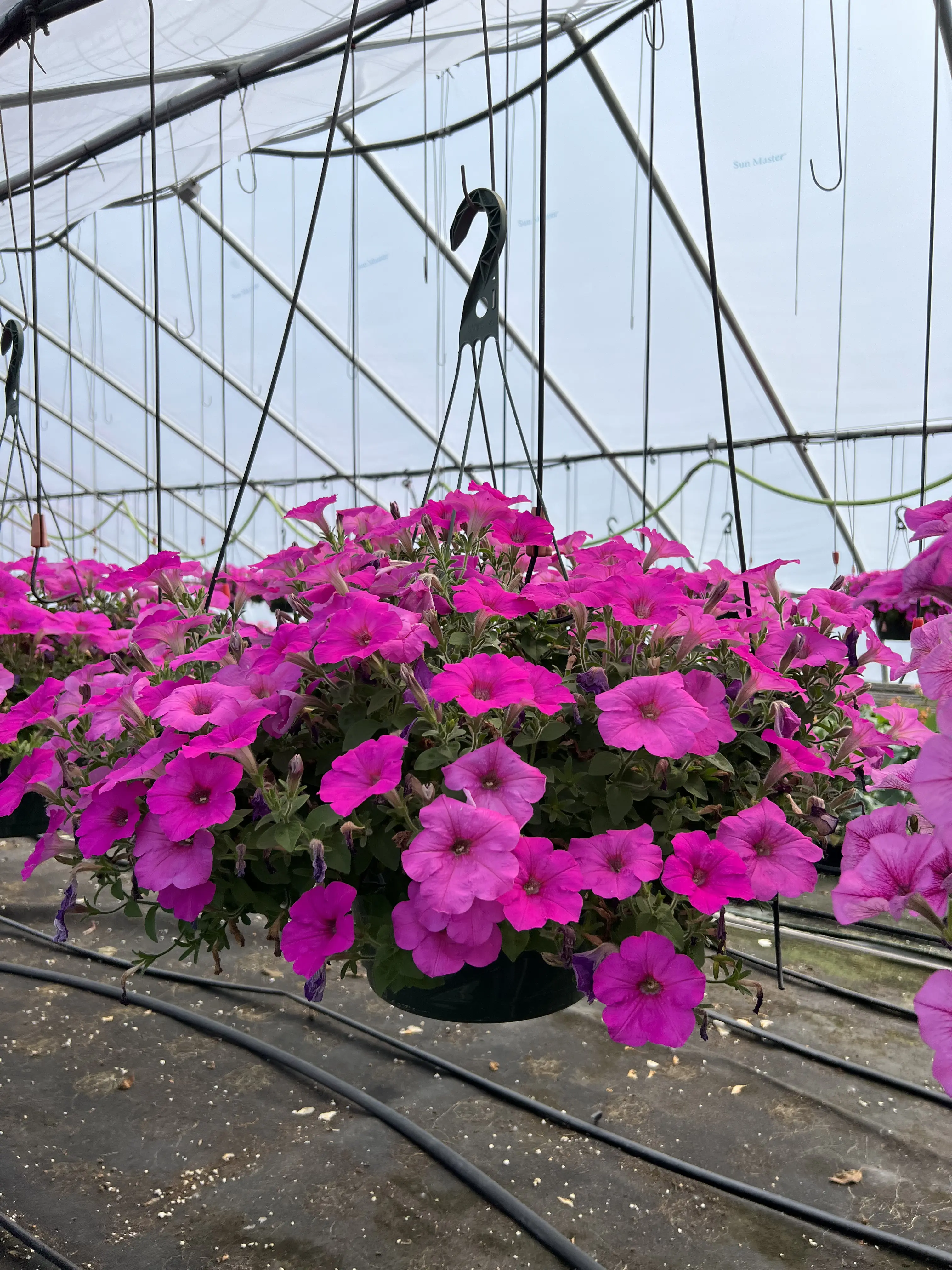 image of a flower bed for a landscaping service