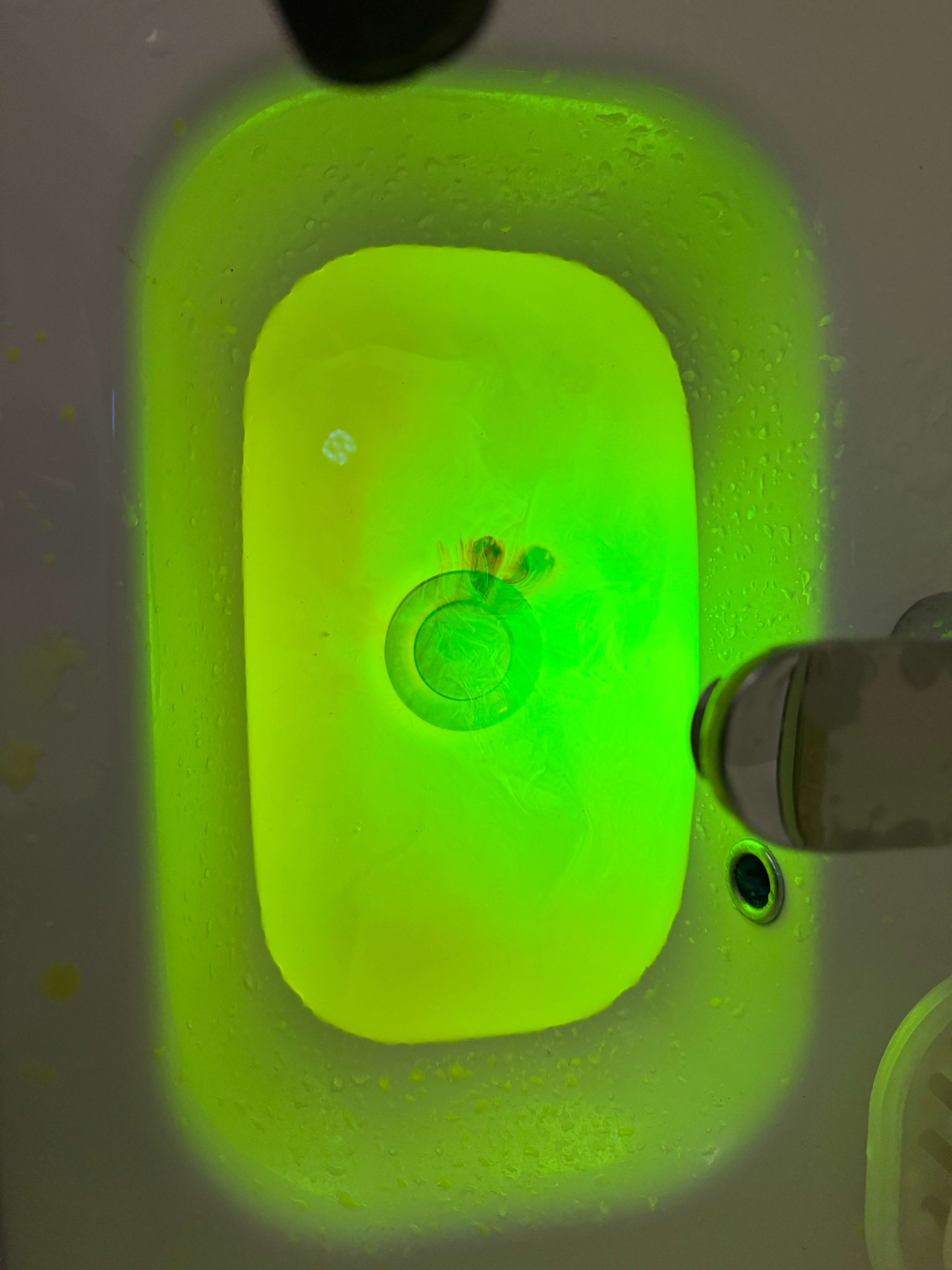 Photo de la méthode Mise en Eau Technique pour détecter les fuites d'eau.