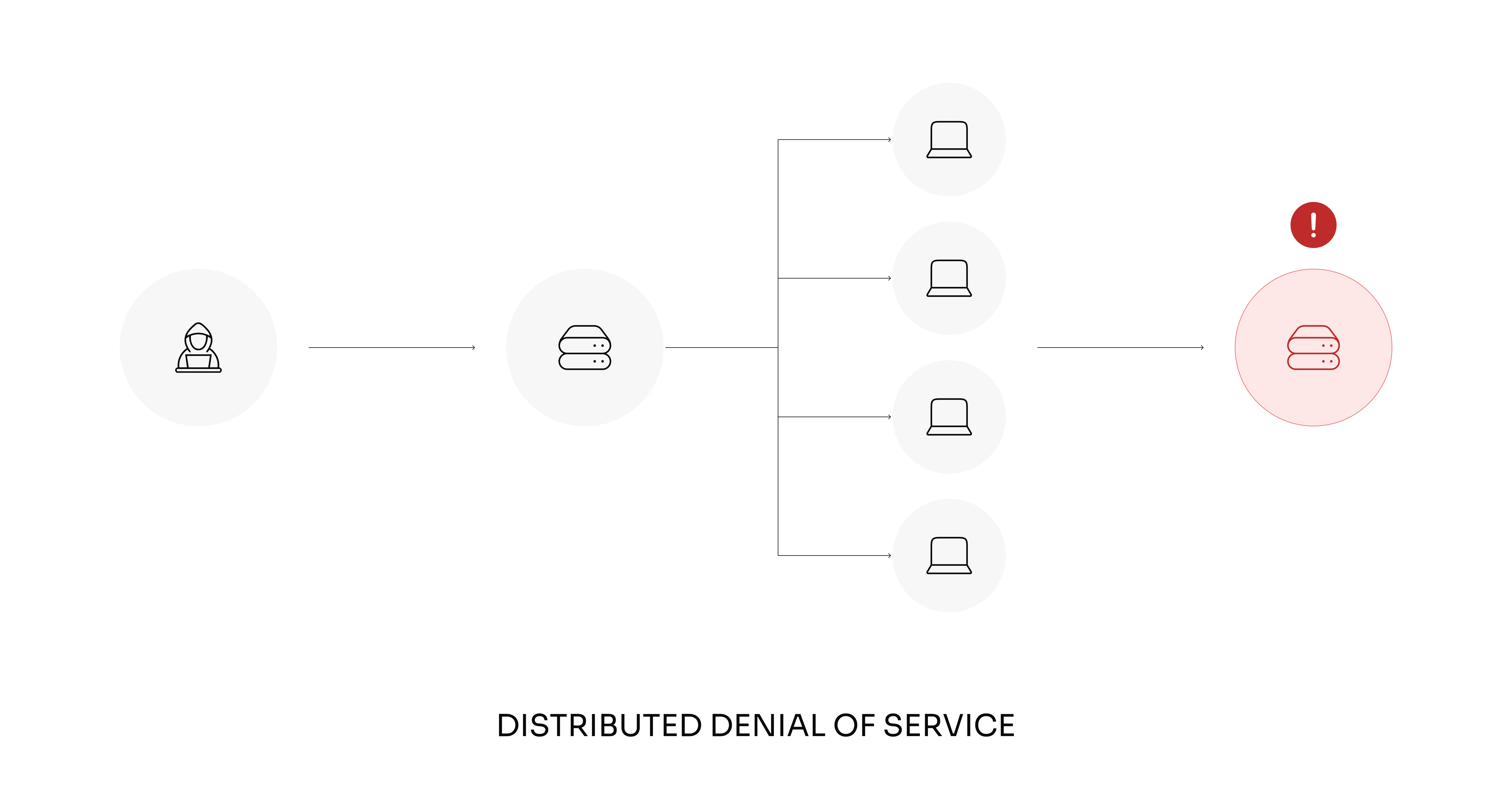 Distributed Denial of Service (DDoS)
