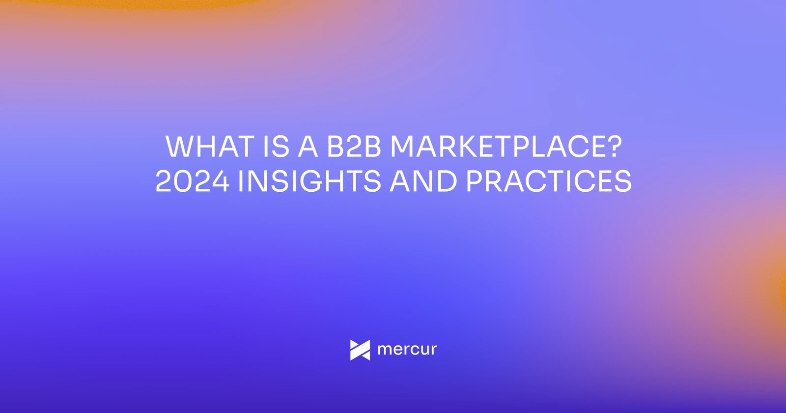 What Is a B2B Marketplace? 2024 Insights and Practices