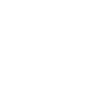Patyna logo