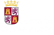 Junta de Castilla y Leön