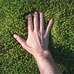 Landscape Design