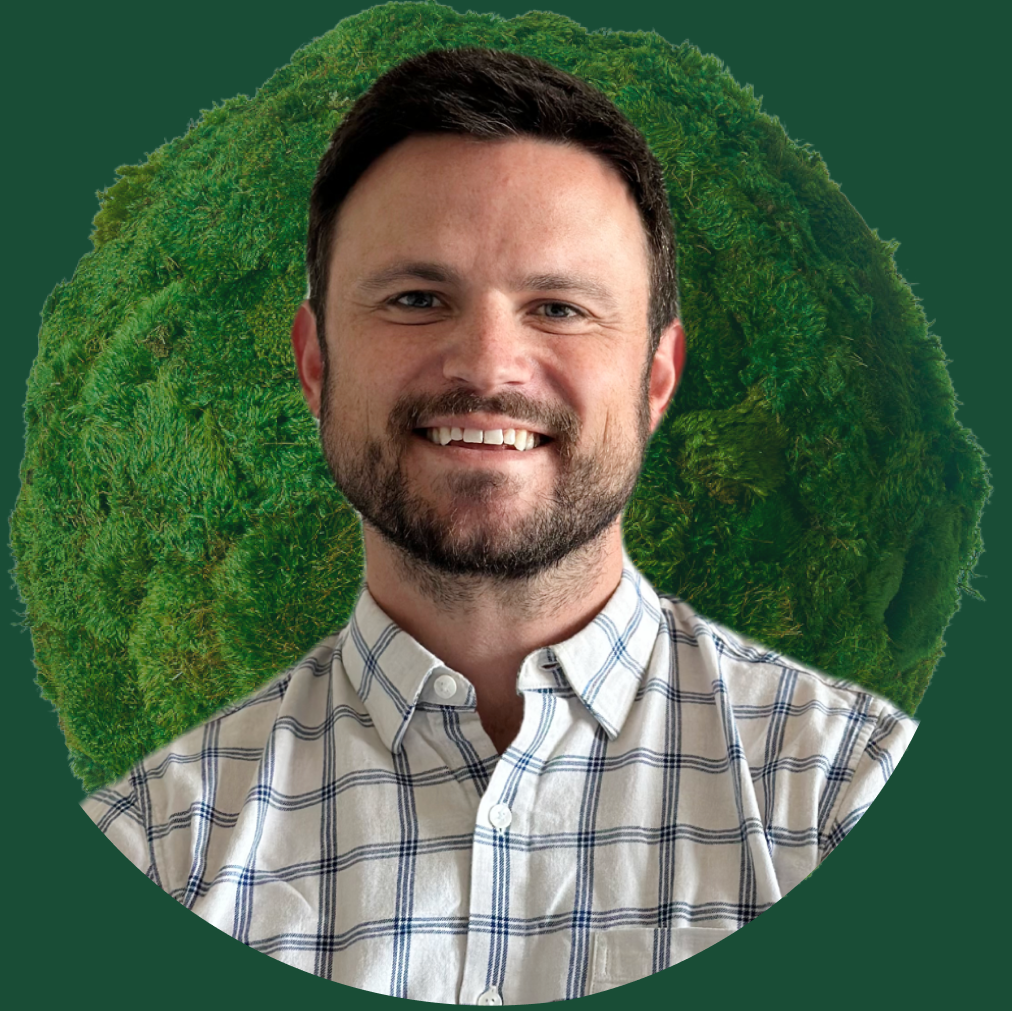 image of a river winding through trees