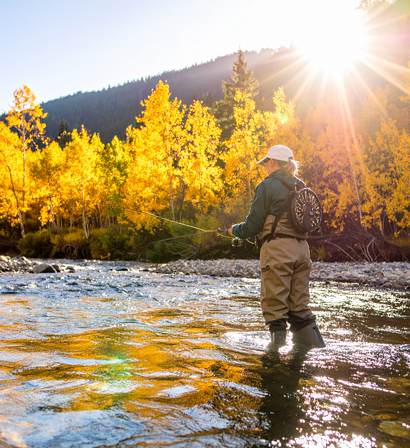 Woman Flyfishing