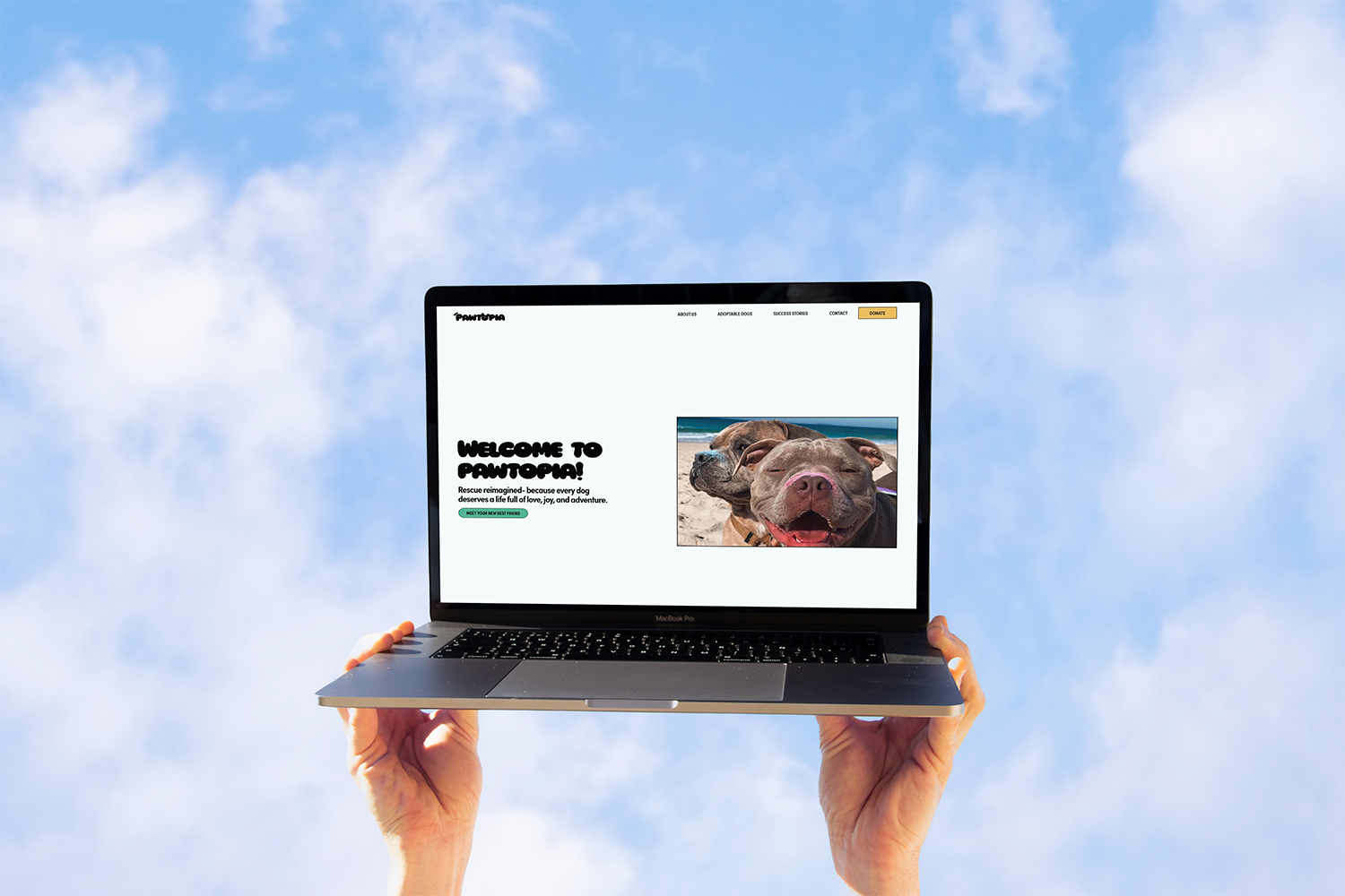 Laptop mockup showcasing hero section of Pawtopia
