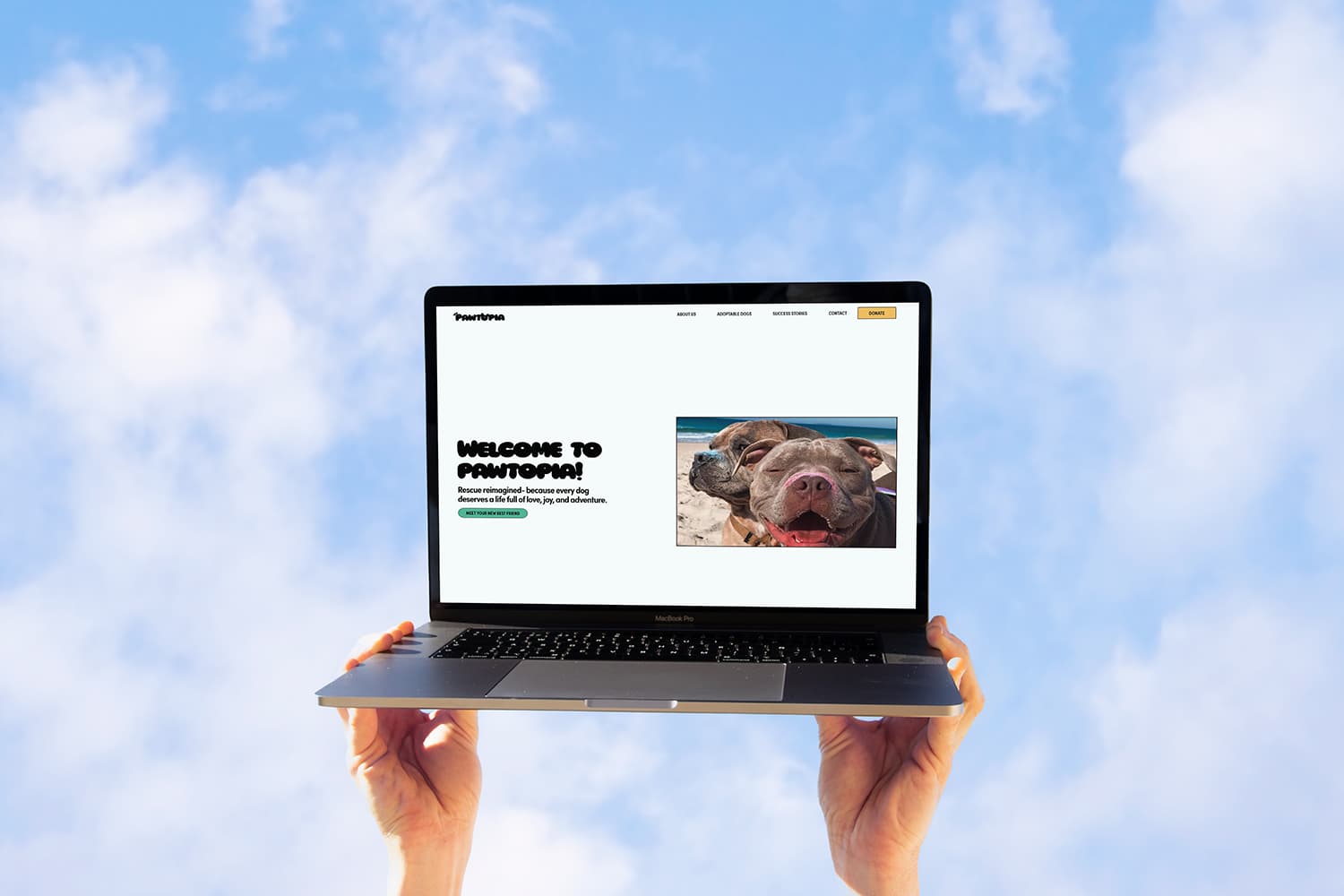 Laptop mockup of Pawtopia, a playful and bold dog rescue