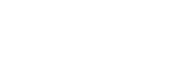 FLIR Systems