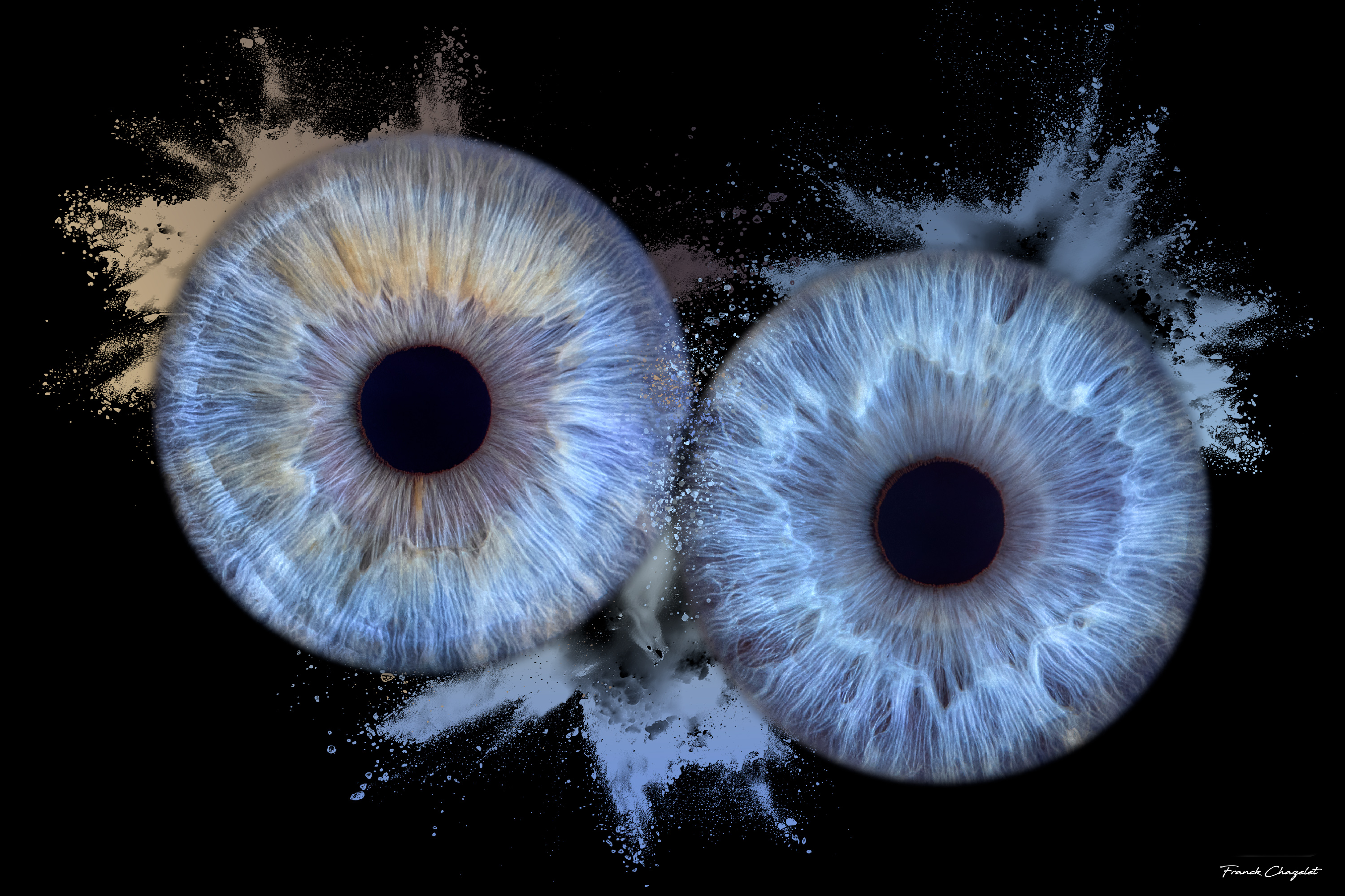 Iris
