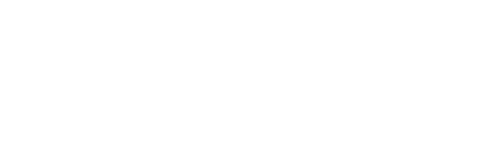 Praeneste Technologies.