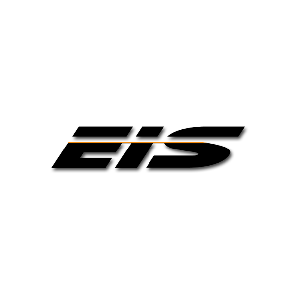 Executive Information Services